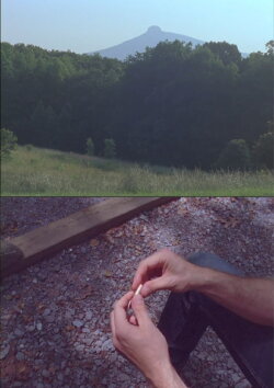 Photuris (2013) Photuris (2013)