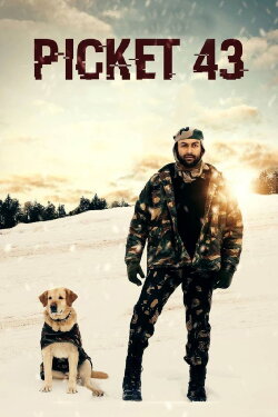 Picket 43 (2015) Picket 43 (2015)