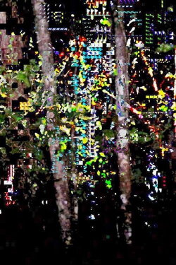 Picture a Forest (2023) Picture a Forest (2023)