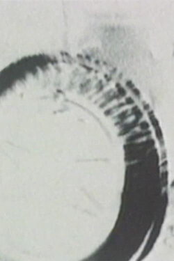 Pie Plates (1980)