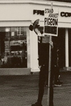 Pigeon Mafia Takes out the Trash (2023) Pigeon Mafia Takes out the Trash (2023)