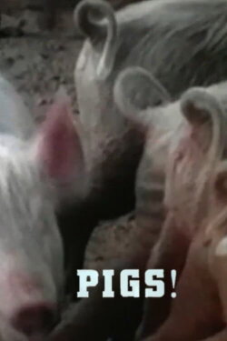 Pigs! (1967)