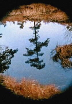 Pine Barrens (1975)