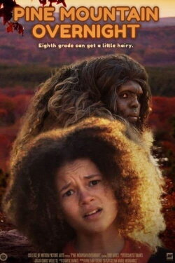 Pine Mountain Overnight (2020)