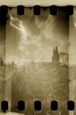 Pinhole Park (2021)