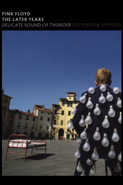 Pink Floyd: The Later Years, Vol 2 - Delicate Sound of Thunder (2019)