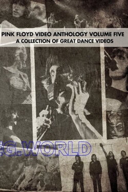 Pink Floyd: Video Anthology Vol. 5 (2004) Pink Floyd: Video Anthology Vol. 5 (2004)