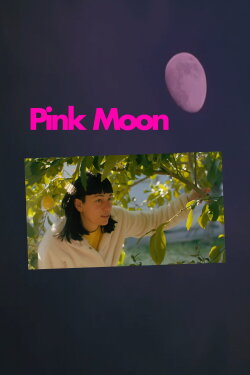 Pink Moon (2023)