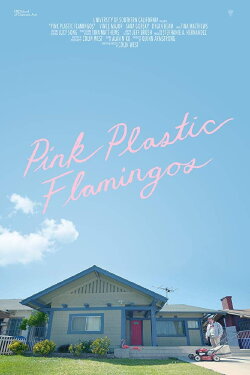 Pink Plastic Flamingos (2018) Pink Plastic Flamingos (2018)