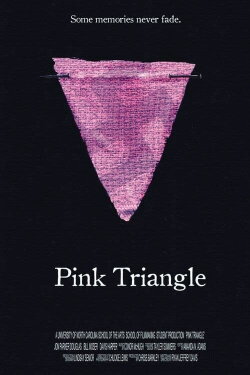 Pink Triangle (2010)