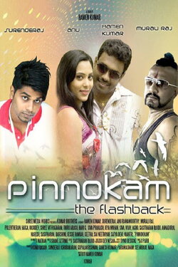 Pinnokam (2015)
