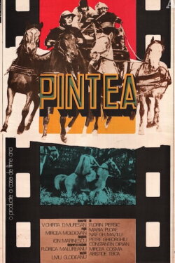 Pintea (1976) Pintea (1976)