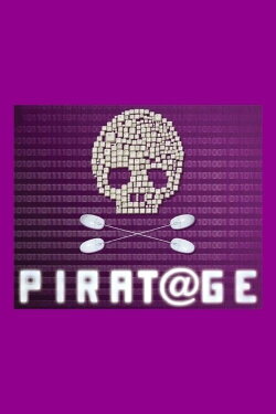 Piratage, Hackers (2011)