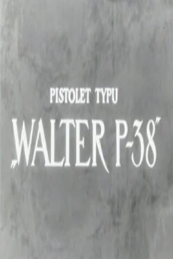 Pistolet typu Pistolet typu