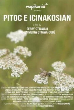 Pitoc E Icinakosian (2019)