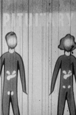 Pituitary (1979) Pituitary (1979)