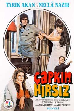 Çapkın Hırsız (1975) Çapkın Hırsız (1975)