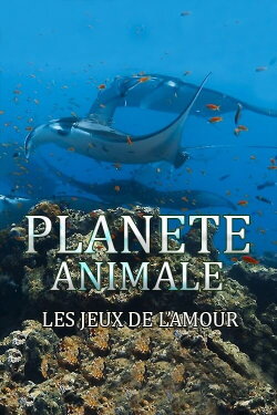Planète Animale : Les jeux de l'amour (2022)