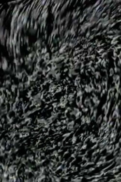 Planetopolis (1994) Planetopolis (1994)