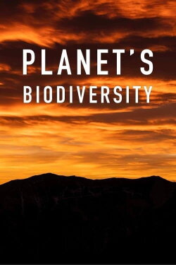 Planet's Biodiversity (2020) Planet's Biodiversity (2020)