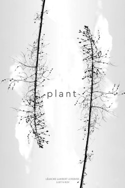 Plant (2023)