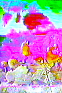 Plant Dreaming Deep (2017) Plant Dreaming Deep (2017)