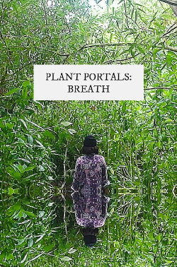 plant portals: breath (2020) plant portals: breath (2020)