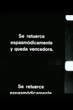 Plantas trepadoras (2013) Plantas trepadoras (2013)