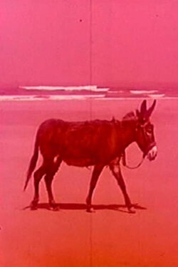 Playa insólita (1962) Playa insólita (1962)