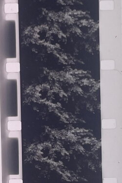 Plotting the Grey Scale: 2 or 3 Quick Traverses (1985)