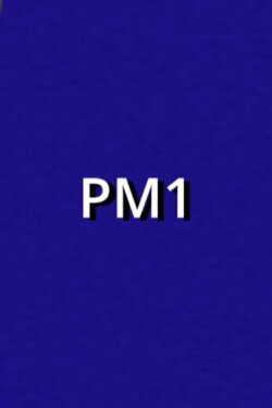 PM1 (2024) PM1 (2024)