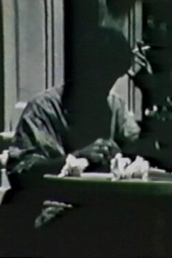 Poet (1989)