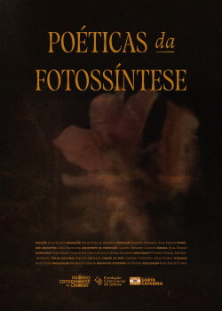 Poéticas da Fotossíntese (2024) Poéticas da Fotossíntese (2024)
