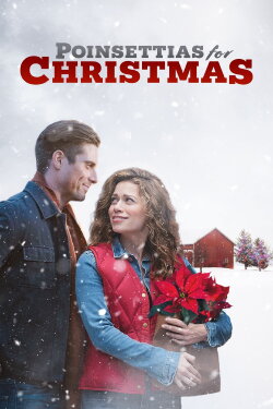 Poinsettias for Christmas (2018) Poinsettias for Christmas (2018)