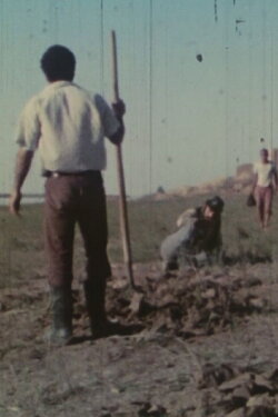Poison River (1975)