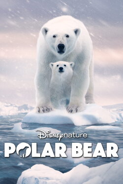 Polar Bear (2022) Polar Bear (2022)