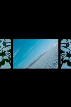 Polar Life (1967) Polar Life (1967)