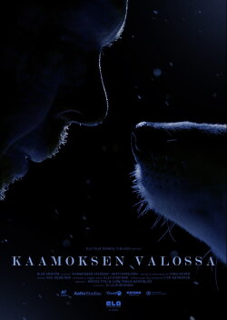 Polar Night Light (2022)