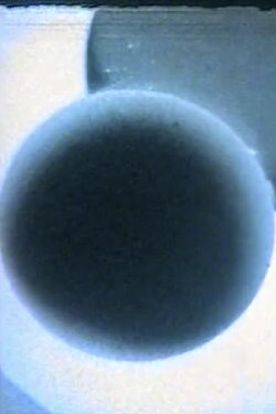 Polemizzando in bianco e nero (1967)