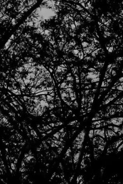 Pollock to (2017)