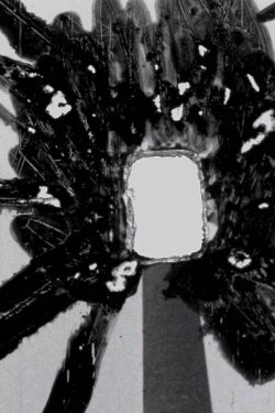 Pollution (1977) Pollution (1977)