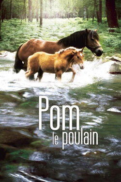 Pom, le poulain (2006) Pom, le poulain (2006)