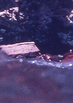 Pond and Waterfall (1982)