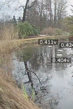 Pond Battery (2015)