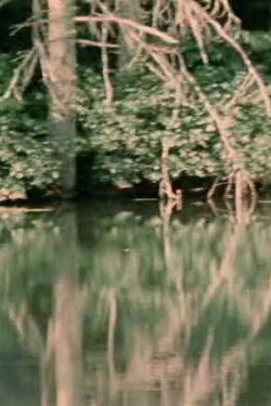Porter Springs 3 (1977) Porter Springs 3 (1977)