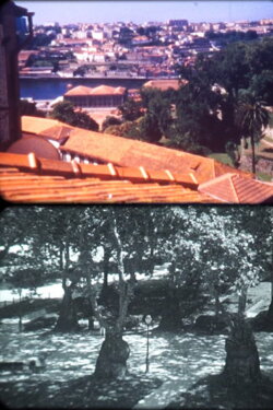 Porto Landscape (2019) Porto Landscape (2019)
