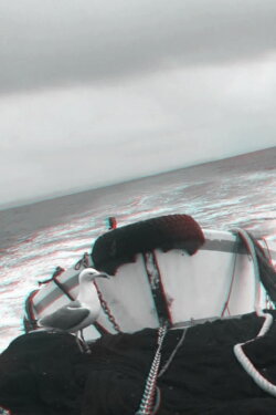 Portuguese Sea (2018) Portuguese Sea (2018)