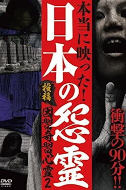 Post Conventions and Eccentrics Spirit 2: The Horrible Curse Hidden in Japan (2015)