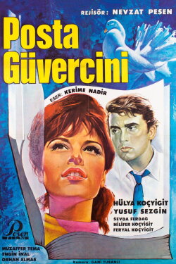 Posta Güvercini (1965)