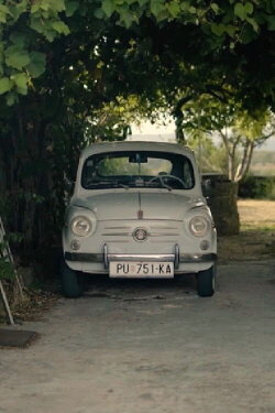 Postcards: Momjan (2019)